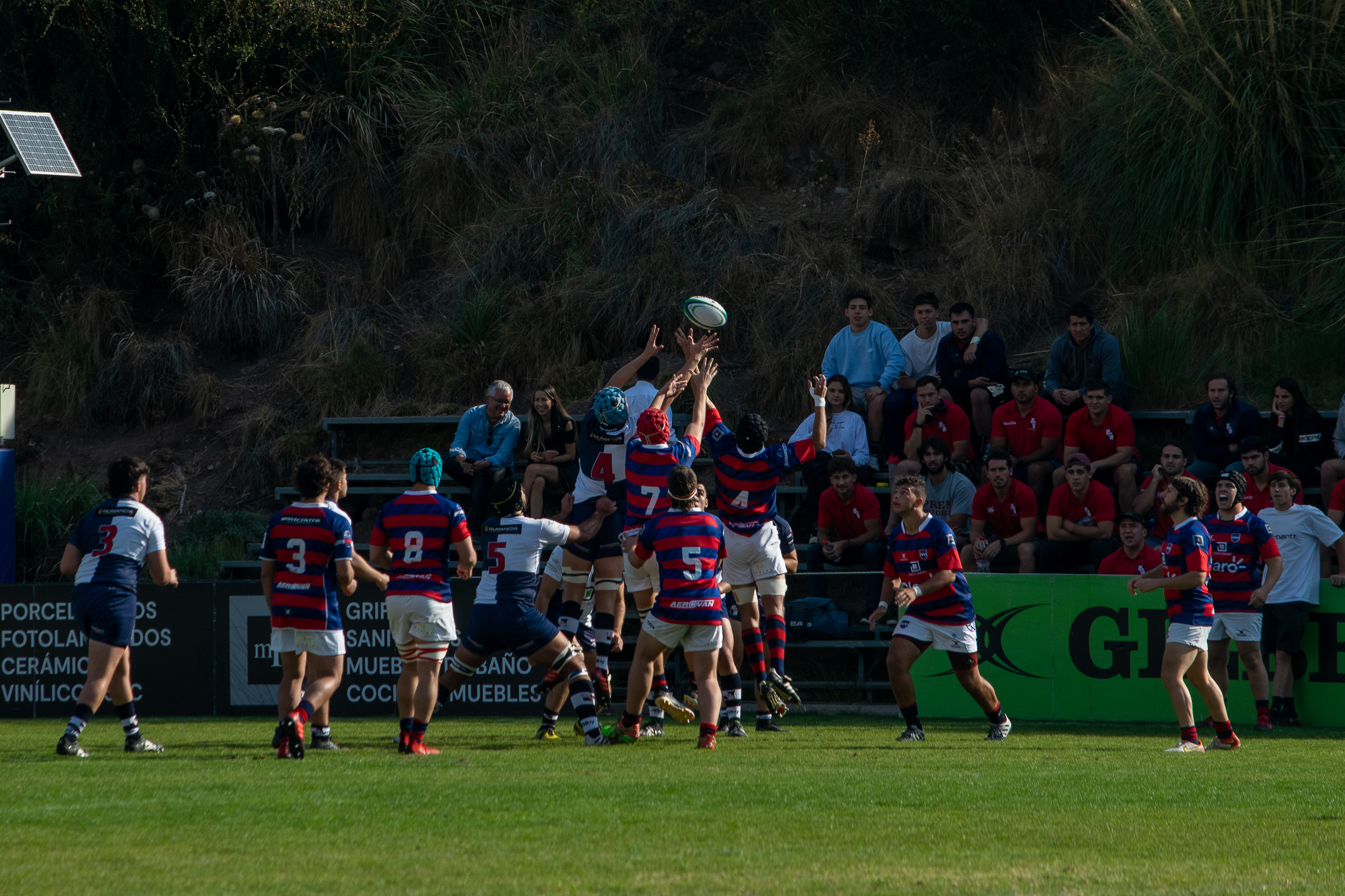 Old Macks Intermedia cae por la mínima frente a COBS